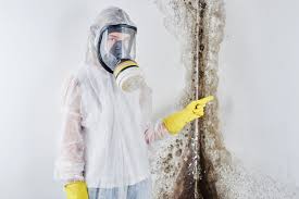 Mold Odor Removal Services in Ellisburg, NJ